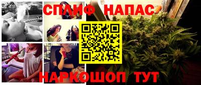 ALPHA PVP Пугачёв