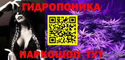 ALPHA PVP Пугачёв