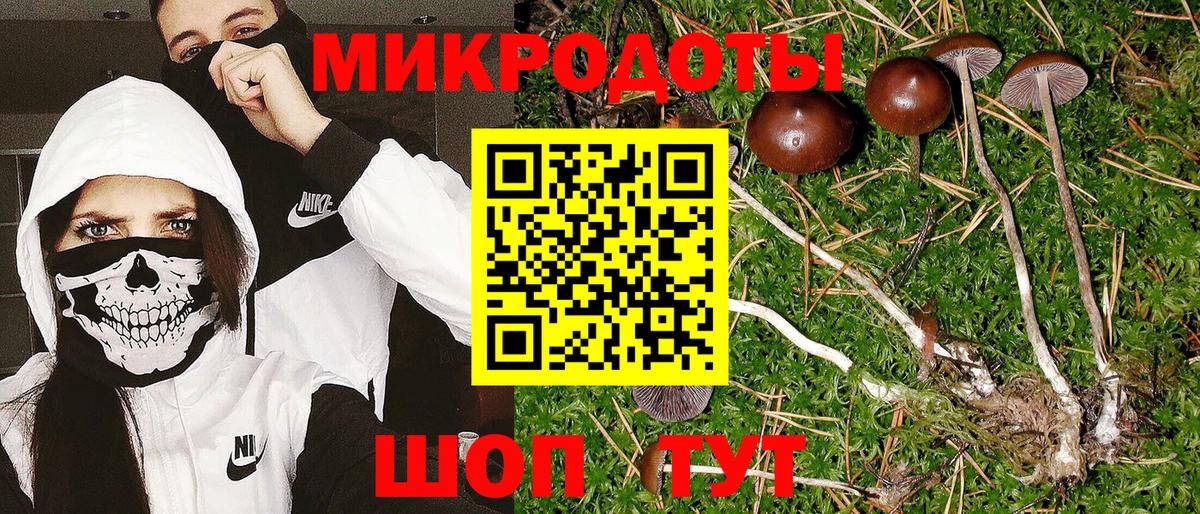Псилоцибиновые грибы Magic Shrooms  Вход с VPN  Орск 